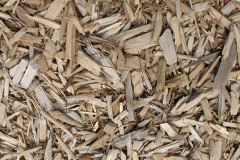 biomass boilers Scethrog