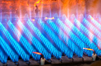 Scethrog gas fired boilers